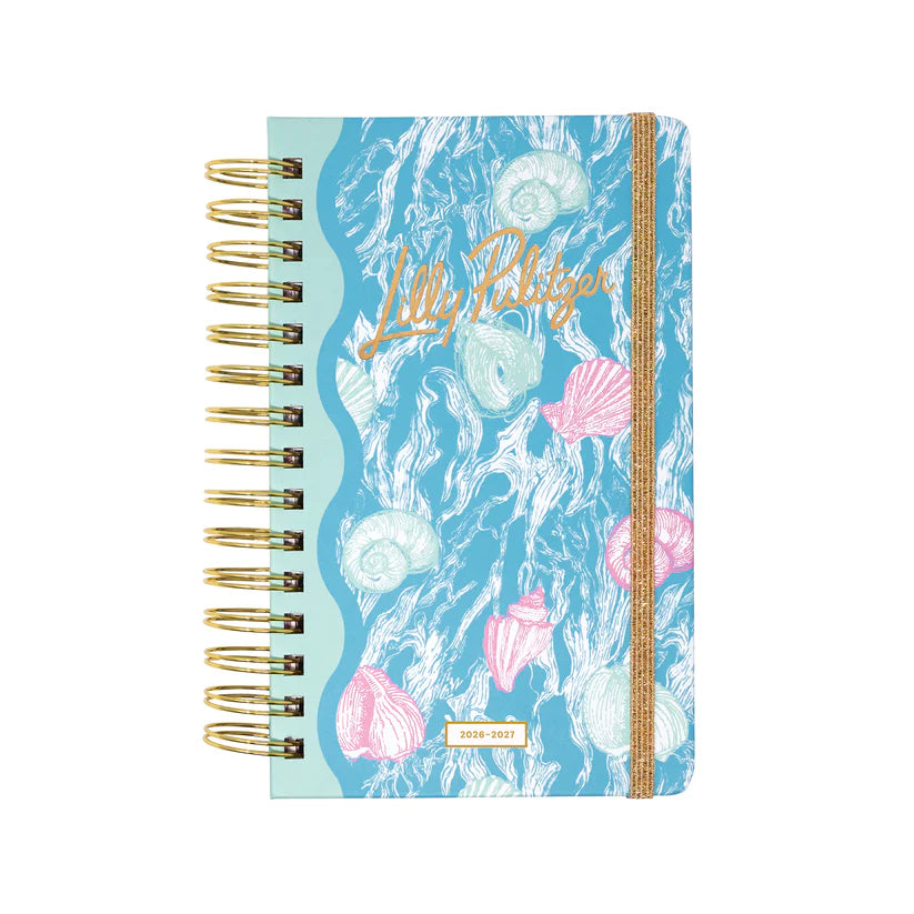 Medium 17 Month Agenda (Shelden)