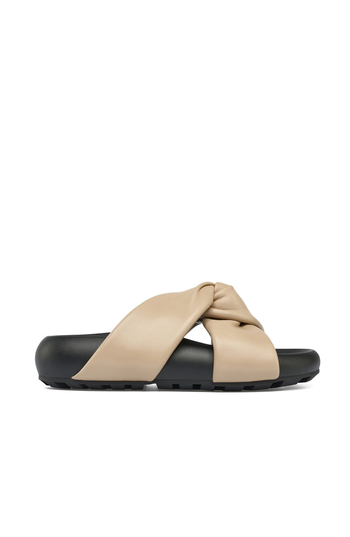 Calista (Camel)