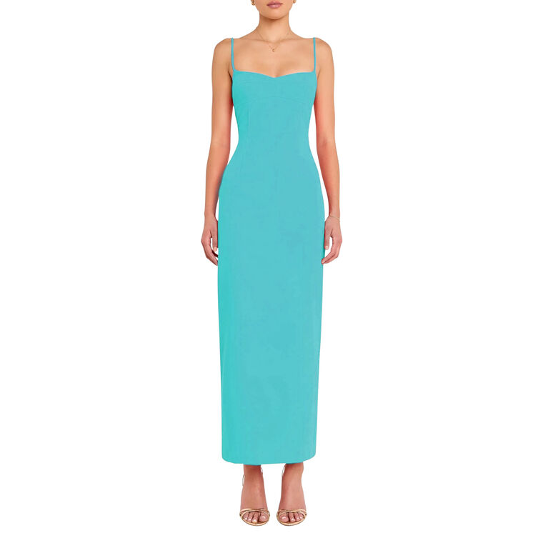 Lawrence Maxi (Parakeet)