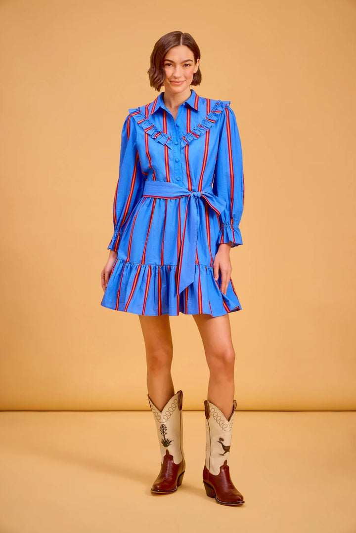 Dale Dress (Ledger Stripe)