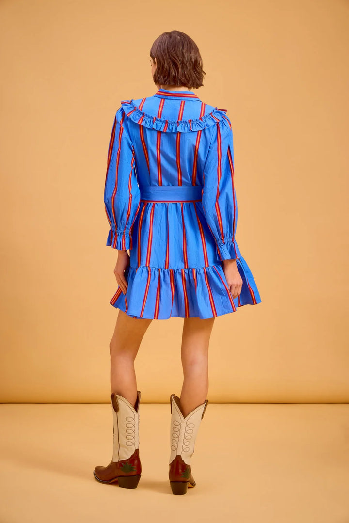 Dale Dress (Ledger Stripe)