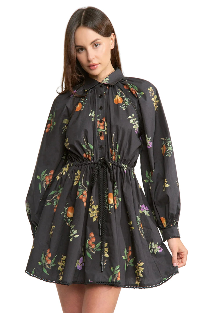 Kristie Mini Shirt Dress (Black Multi)