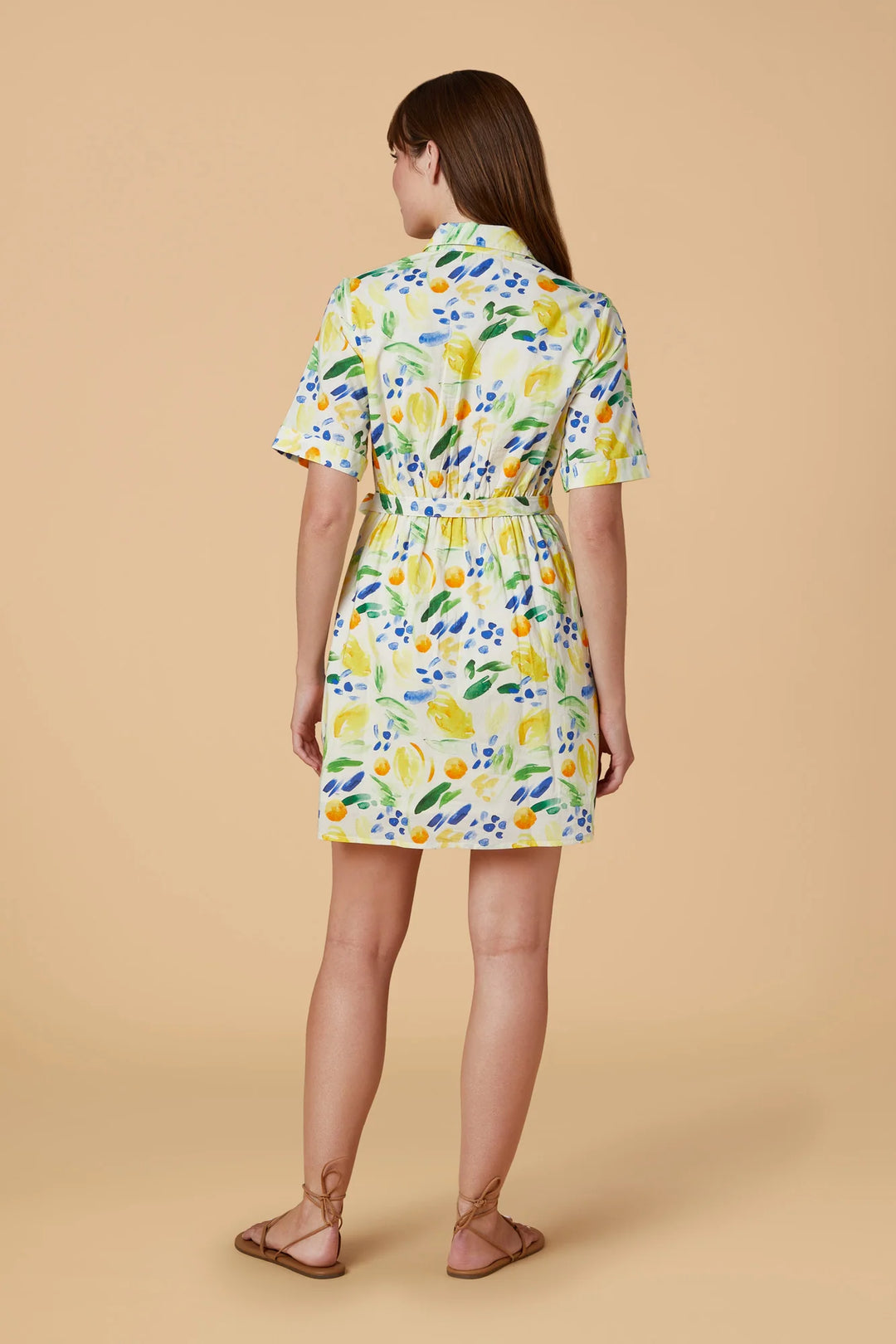 Tilly Dress (Clementine)
