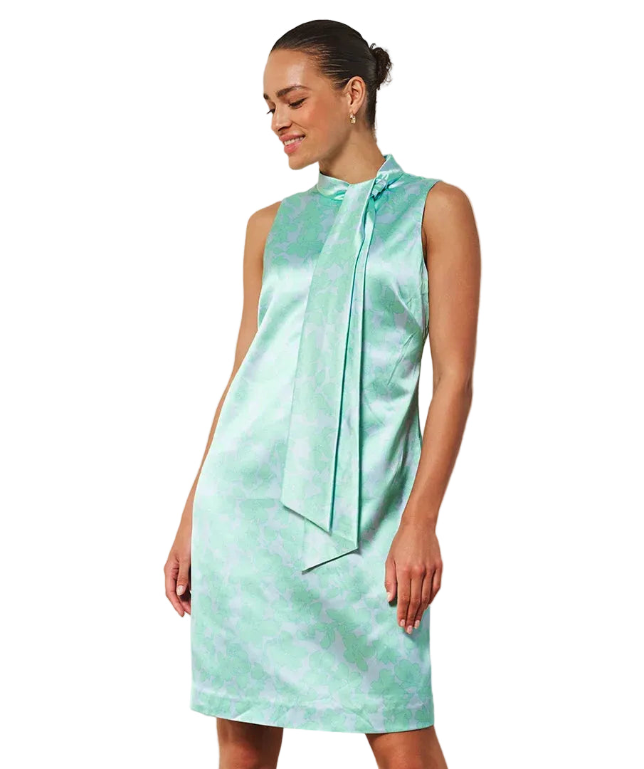Printed Dress (Print Perfect)