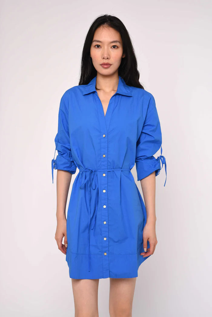 Shannon Mini Dress (Palace Blue)